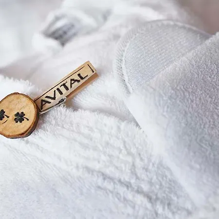 Hotel Avital Winterberg