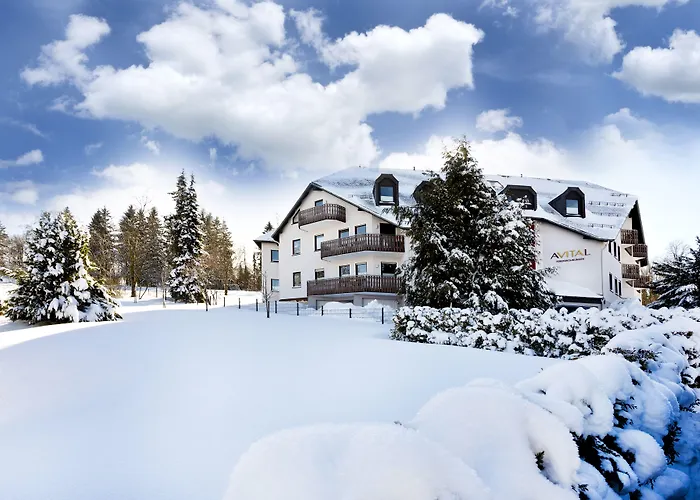 Avital Отель 4*